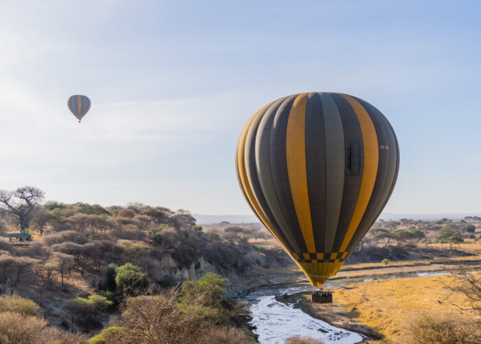 Hot Air Balloon Safari