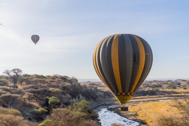 Hot Air Balloon Safari