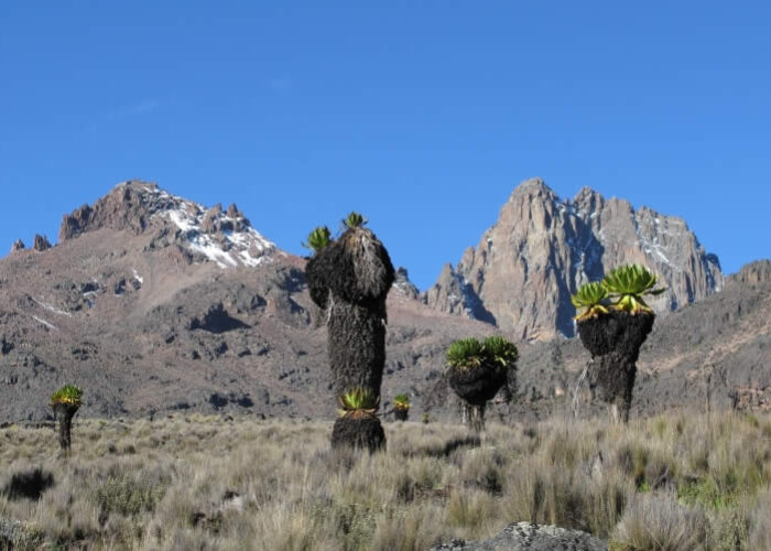 Mount Kenya Trekking