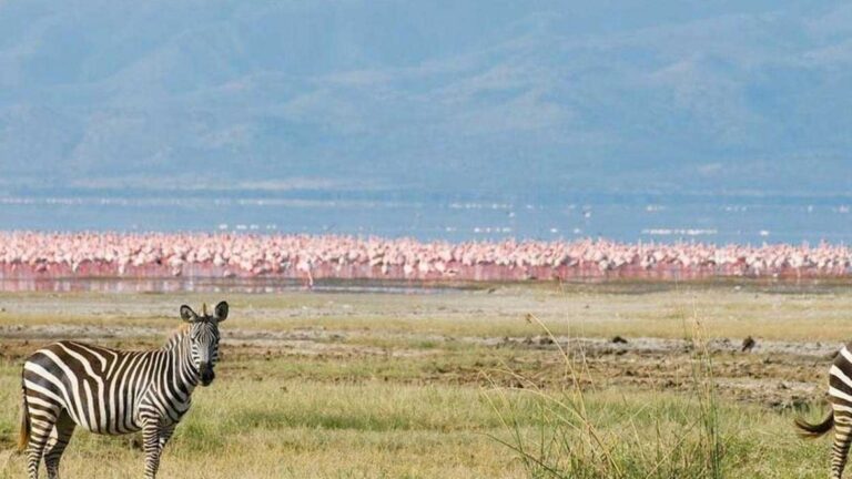 Tanzania Safari, Lake Manyara National Park